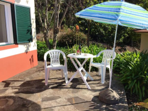 One bedroom house with sea view furnished garden and wifi at Ponta do pargo